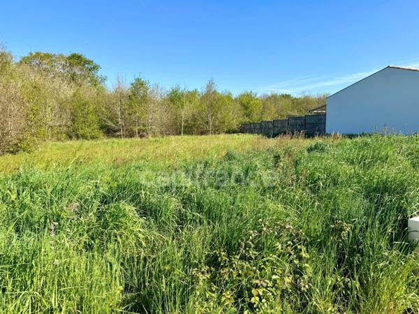 Terrain à vendre de 701,00 m² FOURAS (17)
