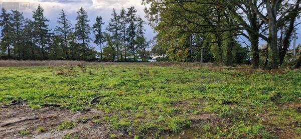Achat - Terrain à bâtir | Terrain à bâtir Ploërmel 56800 459 m 2