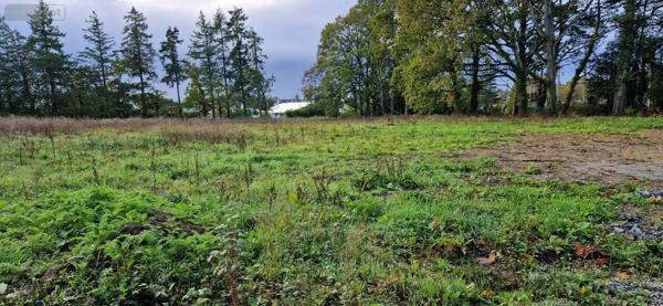 Achat - Terrain à bâtir | Terrain à bâtir Ploërmel 56800 459 m 2