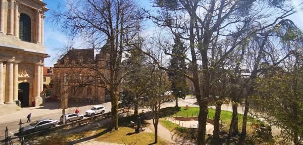 Local mixte (Pro/Hab) à vendre à Langres en Haute-Marne (52200), ref : SGAUR114660