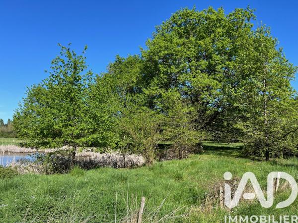Terrain à vendre 6 056 m² Saint-Christophe-en-Bazelle