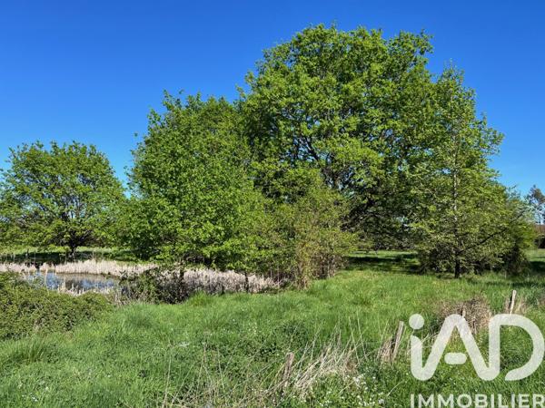 Terrain à vendre 6 056 m² Saint-Christophe-en-Bazelle