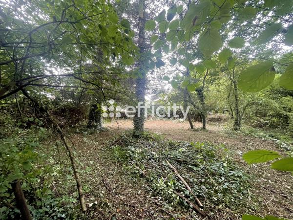 Terrain - 770 m² Exclusivité efficity