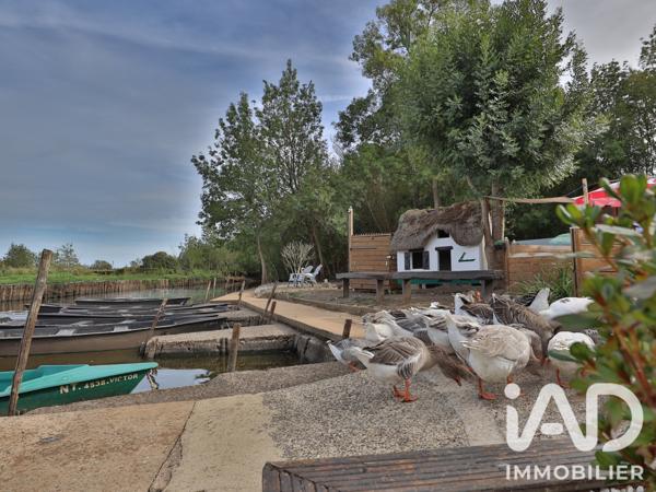 Murs commerciaux  à vendre 5 874 m² Saint-Joachim