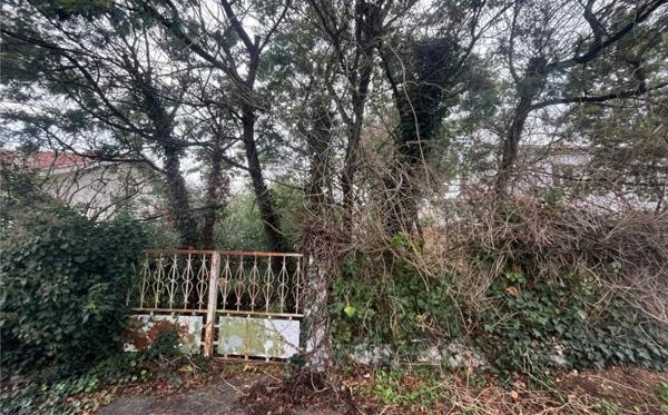 Terrain à vendre |  Bordeaux |  284 m²