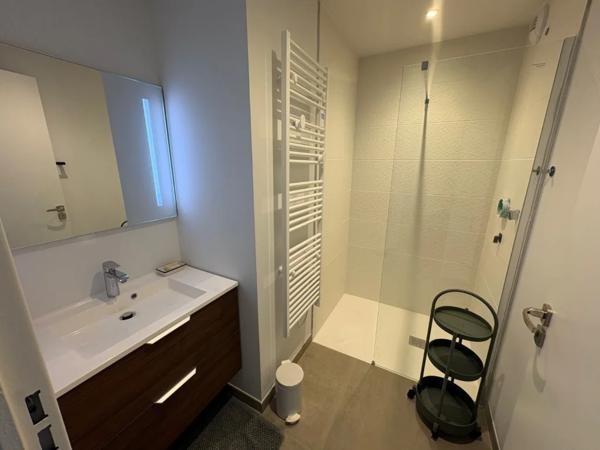 APPARTEMENT T2 A LOUER - ST DIDIER AU MONT D OR Centre et Sud Est 49.52 m 2 1 200 € charges comprises par mois