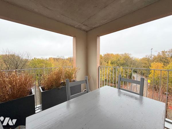 CHARMANT TYPE 3 à LA COURROUZE !