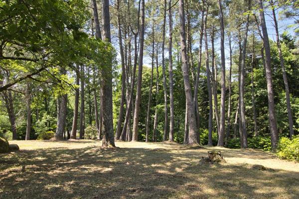 LOCAL D'ACTIVITE, ENTREPOTS sur  3,6 hectares - Ancien site granitier