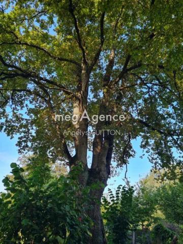 Terrain à CONGE-SUR-ORNE, 72290 - 3520m²