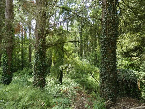 proche de ARGENTAN (61) propriété de 9078 m² de terrain