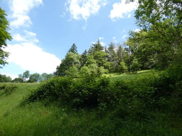 proche de ARGENTAN (61) propriété de 9078 m² de terrain