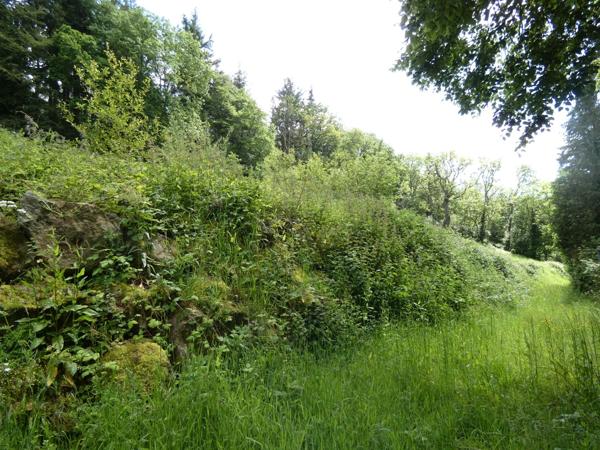 proche de ARGENTAN (61) propriété de 9078 m² de terrain