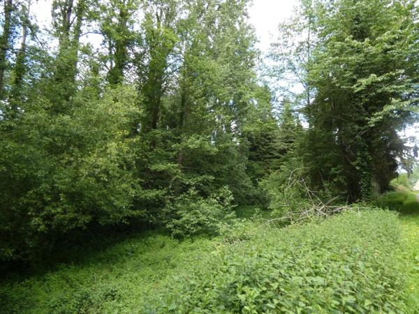 proche de ARGENTAN (61) propriété de 9078 m² de terrain