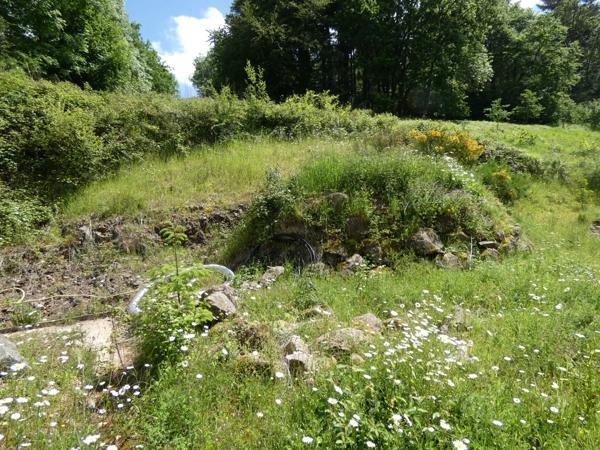 proche de ARGENTAN (61) propriété de 9078 m² de terrain
