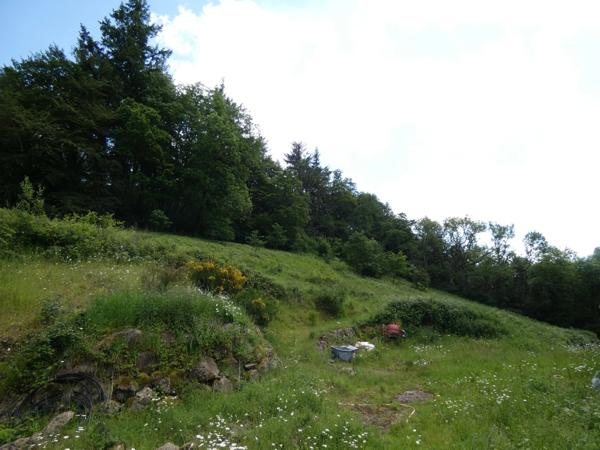 proche de ARGENTAN (61) propriété de 9078 m² de terrain