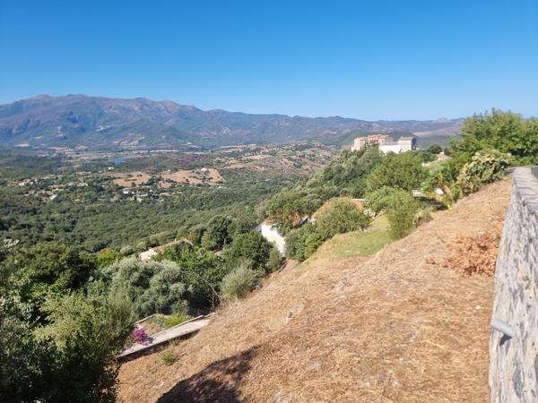 TERRAIN CONSTRUCTIBLE PROCHE BASTIA ET SAINT FLORENT