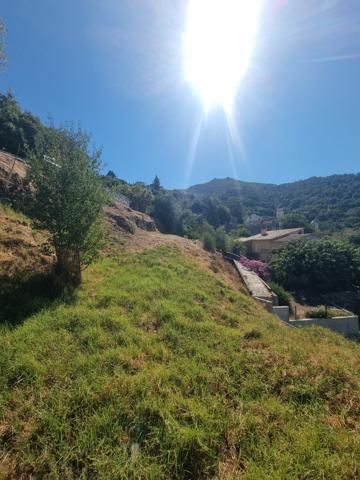 TERRAIN CONSTRUCTIBLE PROCHE BASTIA ET SAINT FLORENT