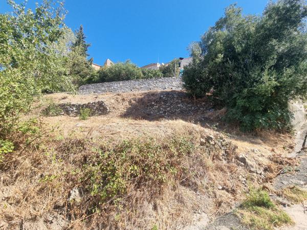 TERRAIN CONSTRUCTIBLE PROCHE BASTIA ET SAINT FLORENT