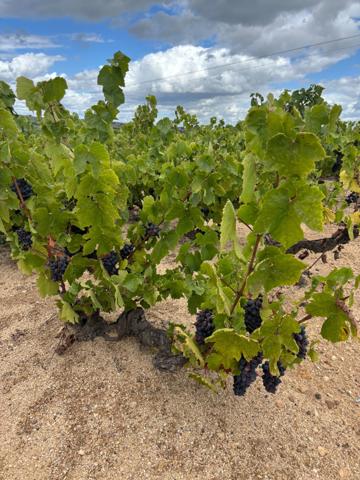 Terrain à vendre ()