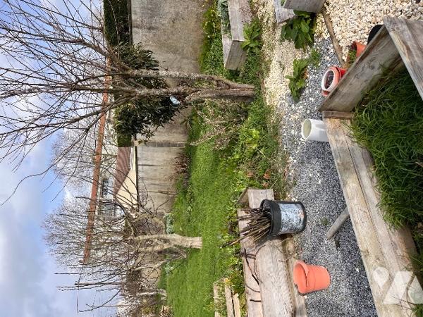 Maison sur 2 niveaux avec 4 chambres, 1 bureau, 2 salles d'eau, véranda. Dépendances. Jardin clos.