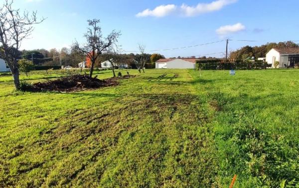 Vente Terrain Ecoyeux   