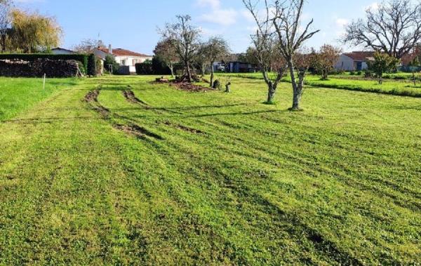 Vente Terrain Ecoyeux   