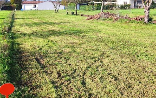 Vente Terrain Ecoyeux   