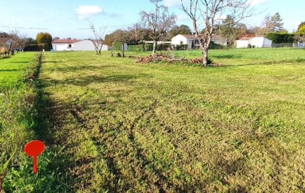 Vente Terrain Ecoyeux   