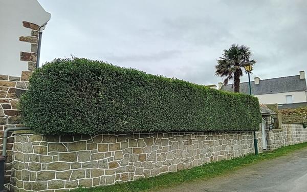 Maison à vendre    6 pièces •  Henvic