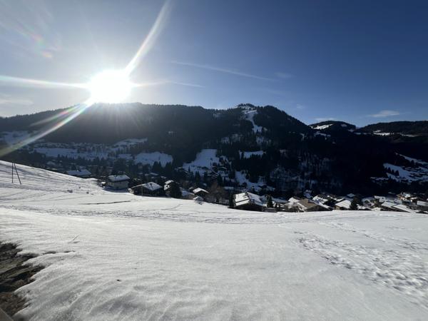 Bel emplacement sur La Clusaz pour ce rez de jardin