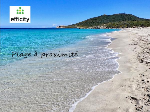 Appartement
         2 pièces
        - 31 m² Exclusivité 159 000 € *