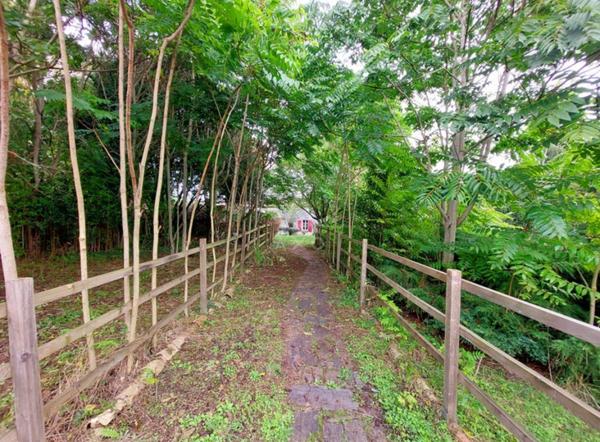 Très jolie et confortable maison charentaise à 20 minutes d'Angoulême