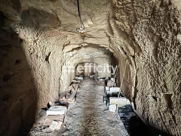 Maison 2 pièces - 85 m² Exclusivité efficity