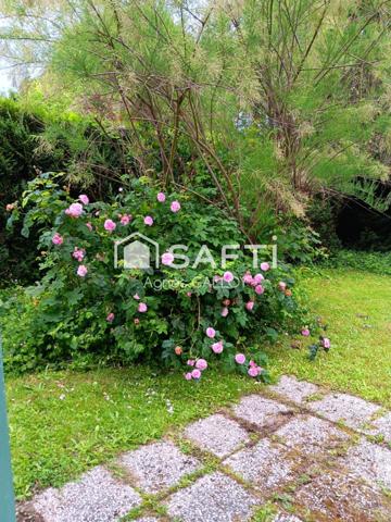 Maison Kaufman and Broad plein sud