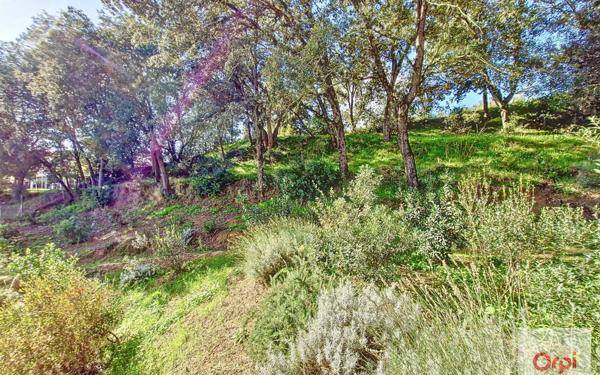 Appartement à louer    2 pièces • 42,50 m2 Ajaccio