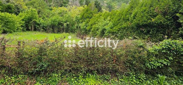 Terrain - 1350 m² Exclusivité efficity
