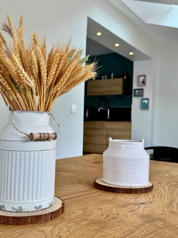 Maison familiale avec espace détente LOIRE AUTHION