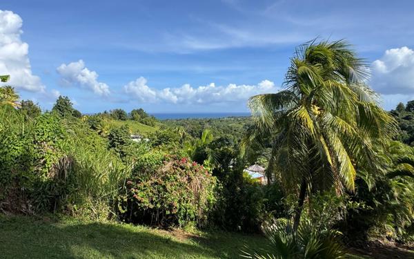Maison à vendre    7 pièces •  Capesterre-Belle-Eau