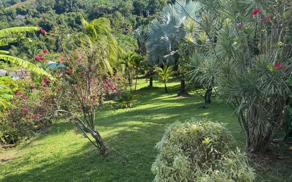 Maison à vendre    7 pièces •  Capesterre-Belle-Eau