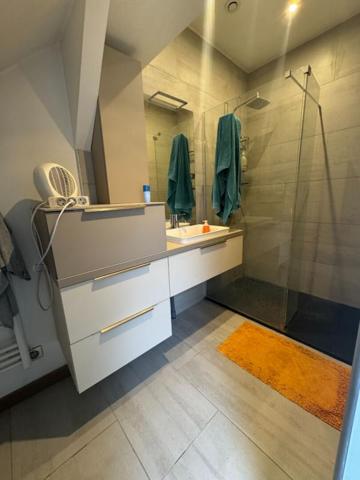 Charmante maison, 3 chambres+ Terrasse à Lille limite Ronchin