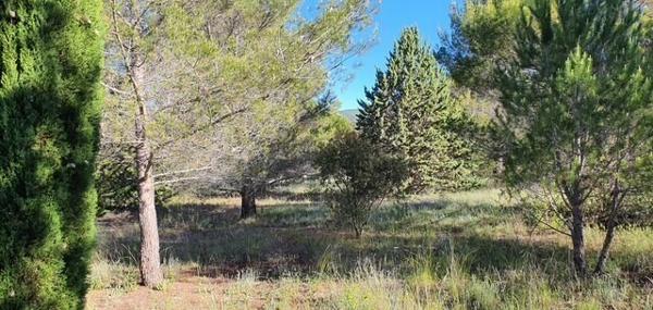 Beau terrain constructible au pied du Luberon