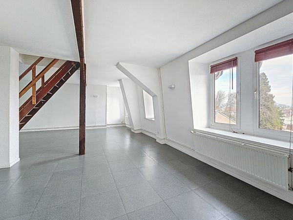 Nancy_ Quartier Jeanne d'Arc_ Parc Sainte Marie_Appartement type F3 duplex dernier étage 75m²_cave