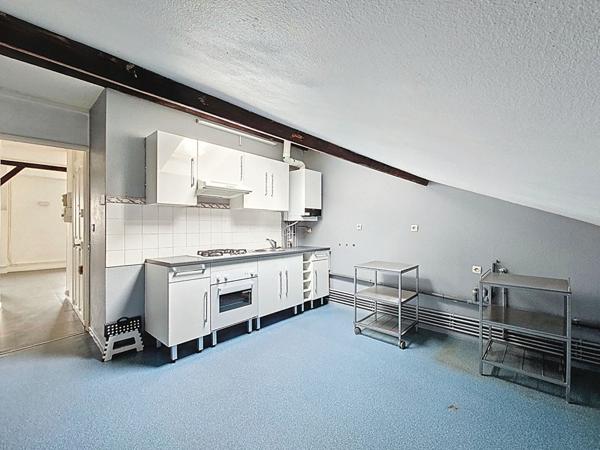 Nancy_ Quartier Jeanne d'Arc_ Parc Sainte Marie_Appartement type F3 duplex dernier étage 75m²_cave