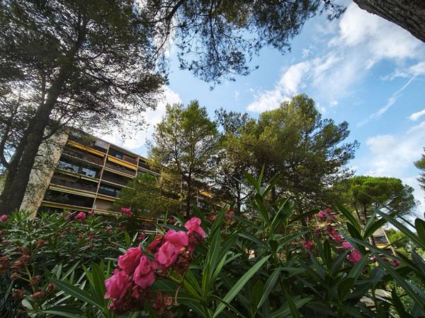 LE CANNET "BLANCHISSERIE", au calme, 3 pièces avec terrasse, cave et parking
