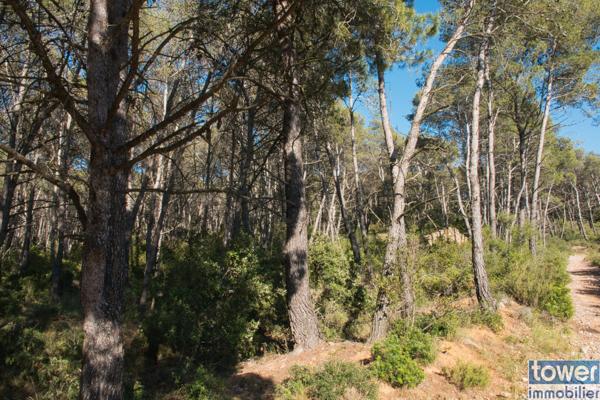 Terrain de loisir