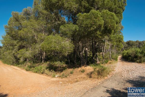 Terrain de loisir