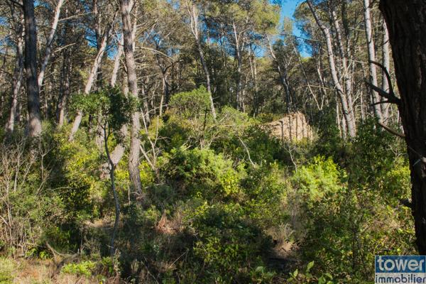 Terrain de loisir