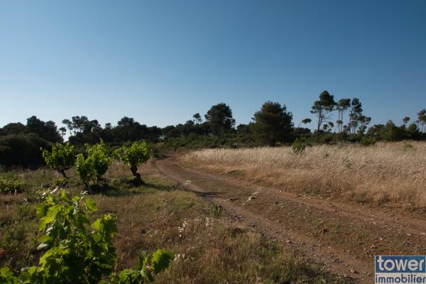 Terrain de loisir