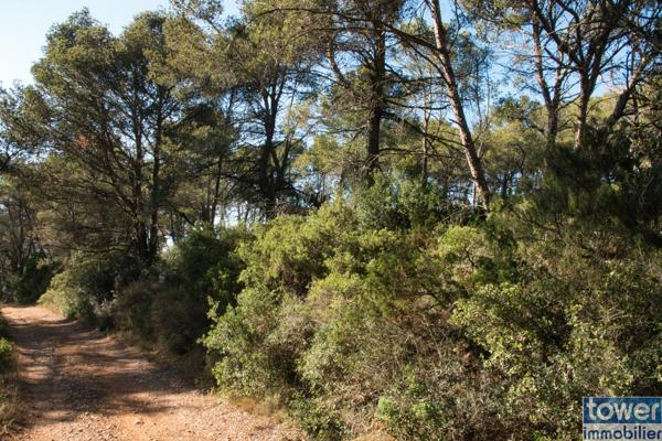 Terrain de loisir