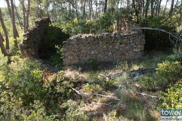 Terrain de loisir